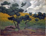 Felix Vallotton Landscape, Sweden oil painting artist